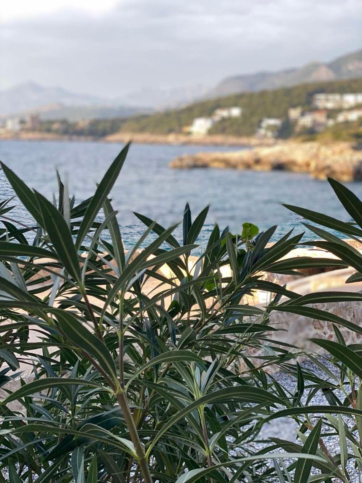 Seastar Eco Villa ウトイェハ エクステリア 写真