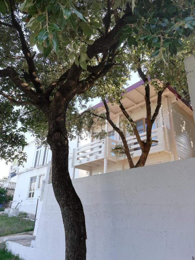 Seastar Eco Villa ウトイェハ エクステリア 写真